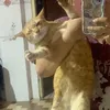 sleepyummy7_