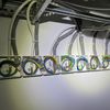 blielektriker