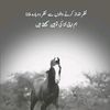 wafadaar77