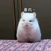 hongbicc_atb