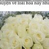 user77390647