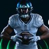 the_seahawk_guy