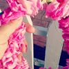 noni.alshihry