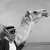 عبدالعزيز عونان 