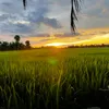 huynhhuynh1237