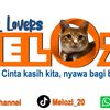Melozi
