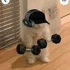 basti.gym18