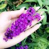 muzhganlove