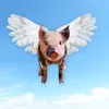 charliech_w
