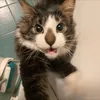 pudge_s_m0m0m