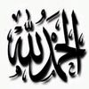 majed_1511
