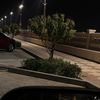 alamany12_12