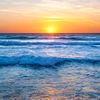 pj_140279