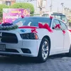 سيوفي