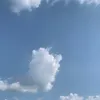 _bakpaomini