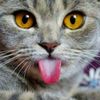 muzz_15