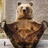 bearbarebear