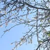 stock_img