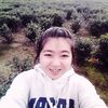 gamhongnguyen19