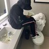 lilmoe422