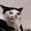 ukiukilmao