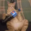 ciki_ob_kavici