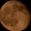 silent_orbit_7
