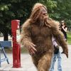 bigfootrulz