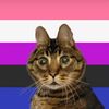 genderfluid_shapeshift3r