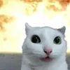 dunyeah