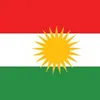 shwankurdy8