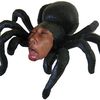 terantula