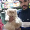 abdelkader_232