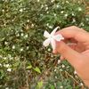 yasmeenazalloum94