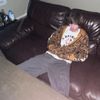 cj.fox00