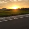 giaphata