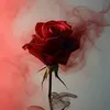 aali12333