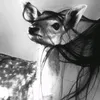 blinklandofficiel