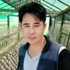 kongphop_mushroom