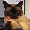 xkazxkiw