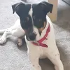 abbylouisechamber93