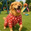 charliesuperdogfunny