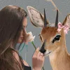 غزاله 🦌