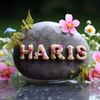 haris_jaanko