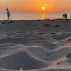 aureline_lvr