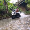 acenggusti
