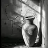 bahbooha_713