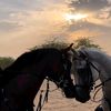 gma_99