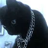 anatoli_trf