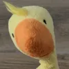diggduck